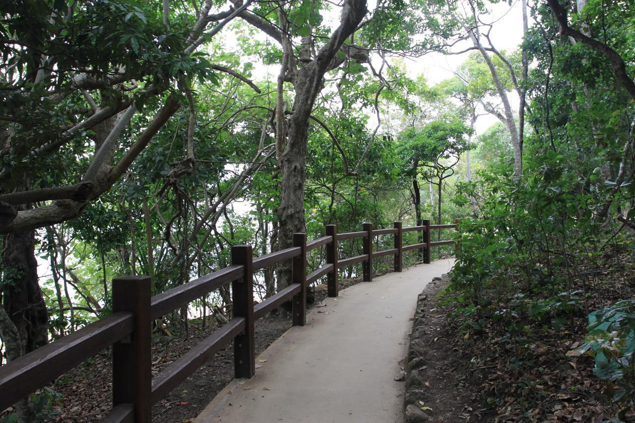 Koala Cove Holiday Apartments Gold Coast Buitenkant foto